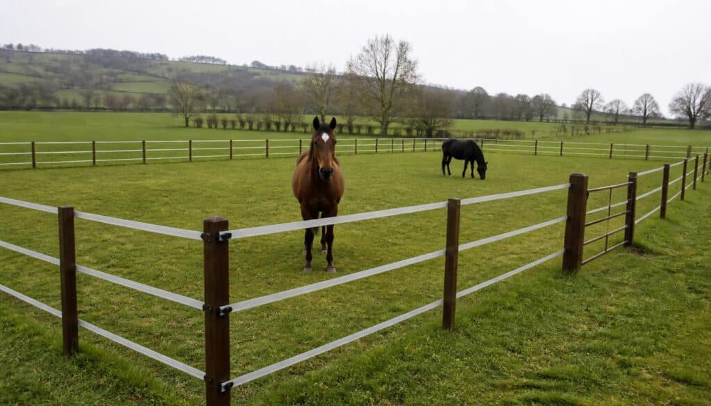 Clôture pour chevaux : bien choisir et sécuriser l’enclos